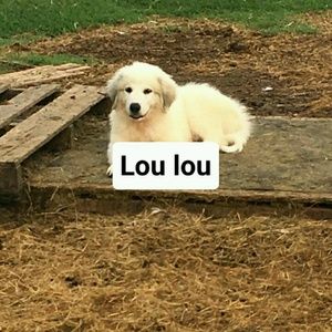 Meet your Posher, Margaret